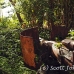 guns_japanese_nusalavu_h_0705_2389.jpg